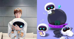 Wootteo Limited Edition Package With BibigoProducts