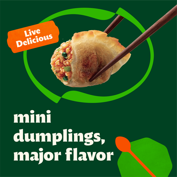 Mini Wontons Spicy Chicken & Vegetable Dumplings